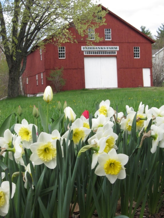 Red Barn with Flowers -- Spring 2011